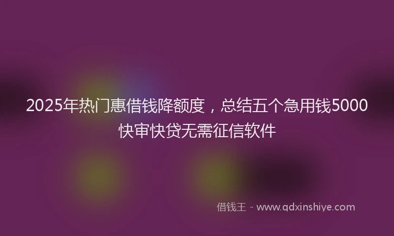 2025年热门惠借钱降额度，总结五个急用钱5000快审快贷无需征信软件