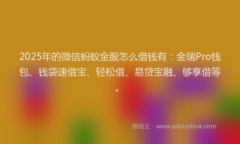 2025年的微信蚂蚁金服怎么借钱有：金瑞Pro钱包、钱袋速借宝、轻松借、易贷宝融、够享借等。