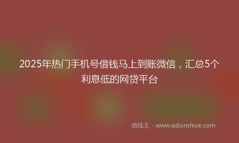 2025年热门手机号借钱马上到账微信，汇总5个利息低的网贷平台