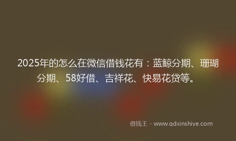 2025年的怎么在微信借钱花有：蓝鲸分期、珊瑚分期、58好借、吉祥花、快易花贷等。