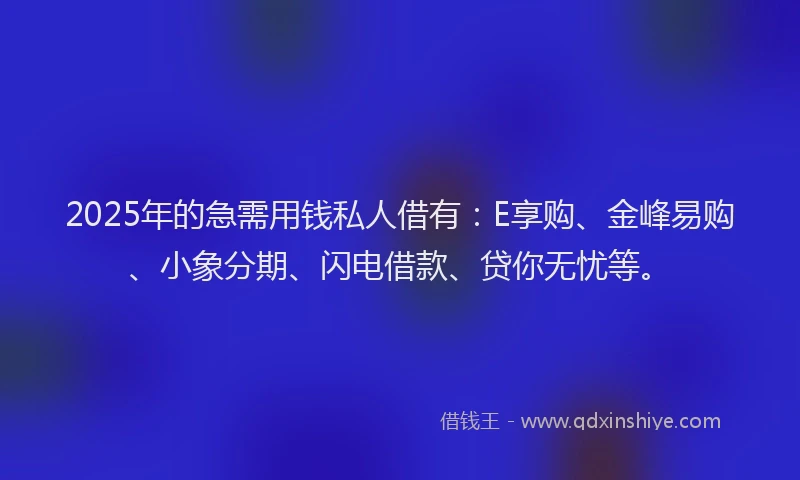 2025年的急需用钱私人借有：E享购、金峰易购、小象分期、闪电借款、贷你无忧等。