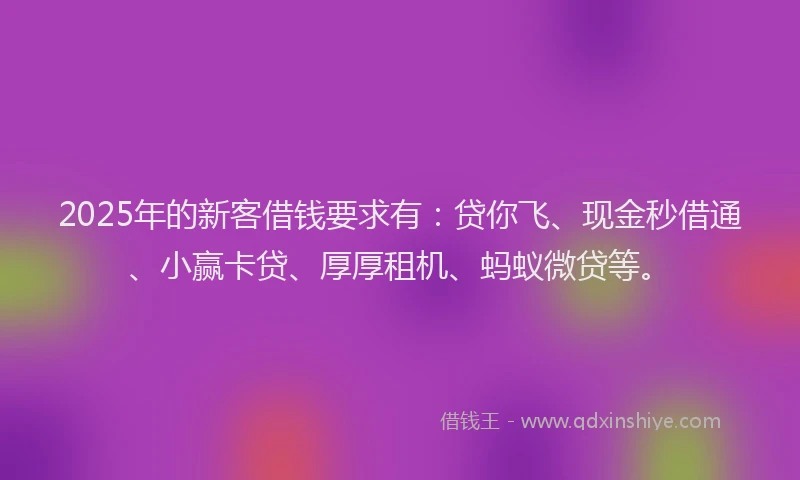 2025年的新客借钱要求有：贷你飞、现金秒借通、小赢卡贷、厚厚租机、蚂蚁微贷等。