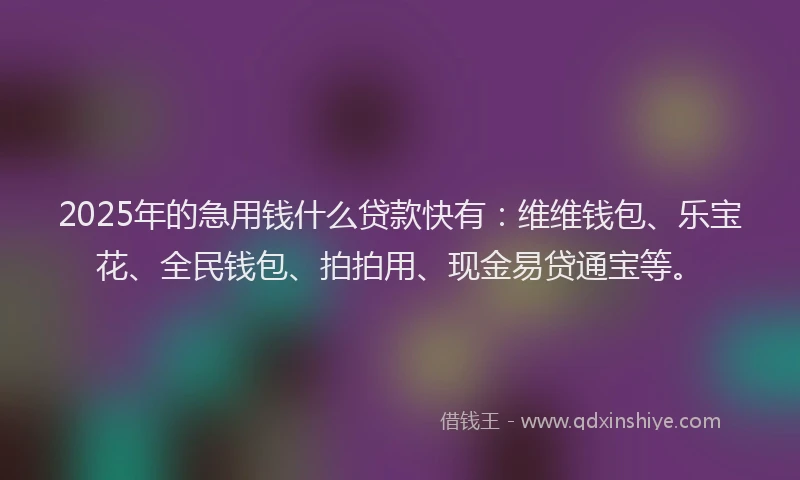 2025年的急用钱什么贷款快有：维维钱包、乐宝花、全民钱包、拍拍用、现金易贷通宝等。