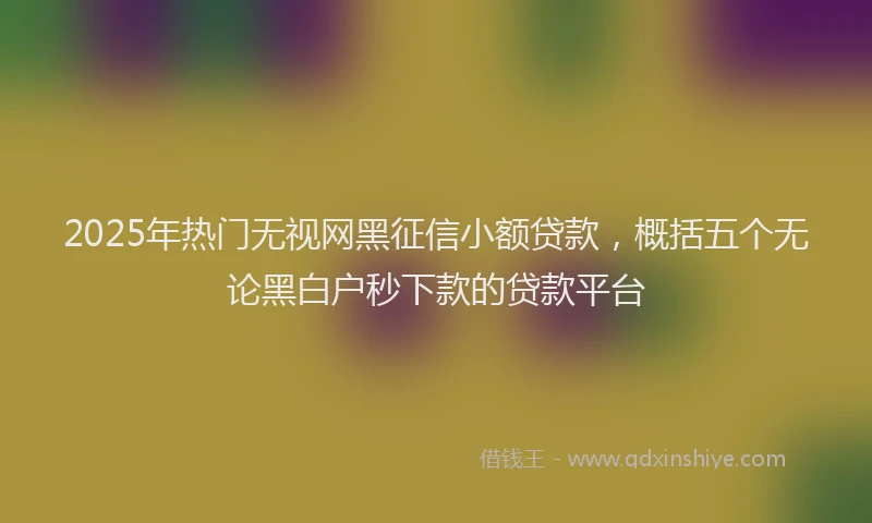 2025年热门无视网黑征信小额贷款，概括五个无论黑白户秒下款的贷款平台