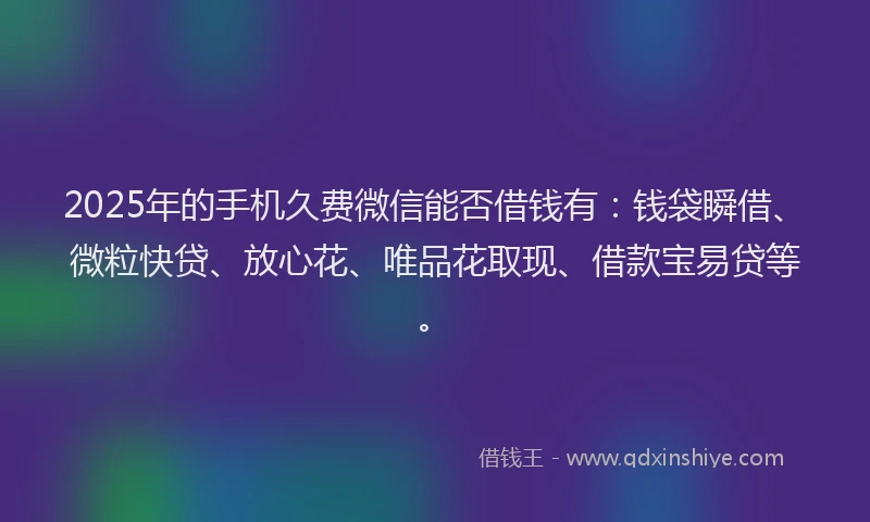 2025年的手机久费微信能否借钱有：钱袋瞬借、微粒快贷、放心花、唯品花取现、借款宝易贷等。