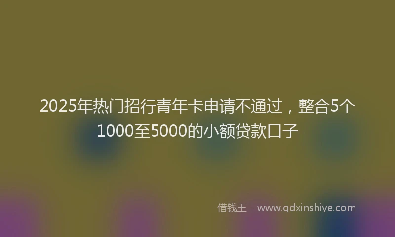 2025年热门招行青年卡申请不通过，整合5个1000至5000的小额贷款口子
