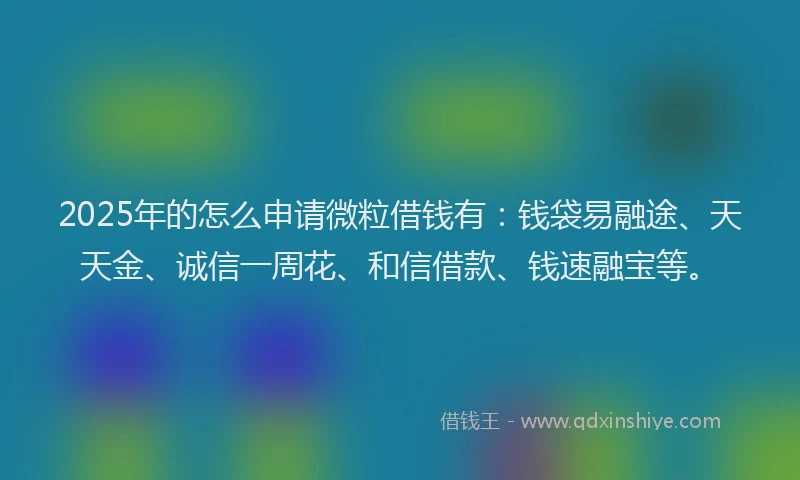 2025年的怎么申请微粒借钱有：钱袋易融途、天天金、诚信一周花、和信借款、钱速融宝等。