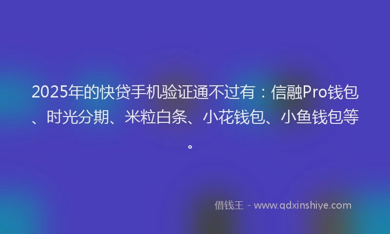 2025年的快贷手机验证通不过有：信融Pro钱包、时光分期、米粒白条、小花钱包、小鱼钱包等。