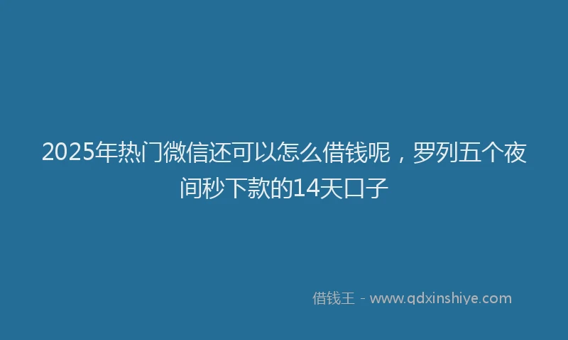 2025年热门微信还可以怎么借钱呢，罗列五个夜间秒下款的14天口子