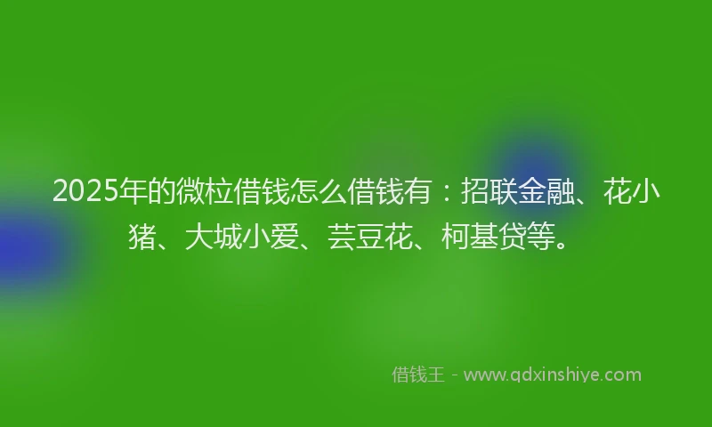 2025年的微柆借钱怎么借钱有：招联金融、花小猪、大城小爱、芸豆花、柯基贷等。
