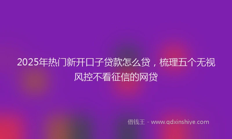 2025年热门新开口子贷款怎么贷，梳理五个无视风控不看征信的网贷