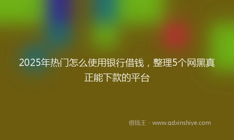 2025年热门怎么使用银行借钱，整理5个网黑真正能下款的平台