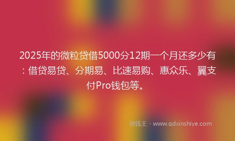 2025年的微粒贷借5000分12期一个月还多少有：借贷易贷、分期易、比速易购、惠众乐、翼支付Pro钱包等。