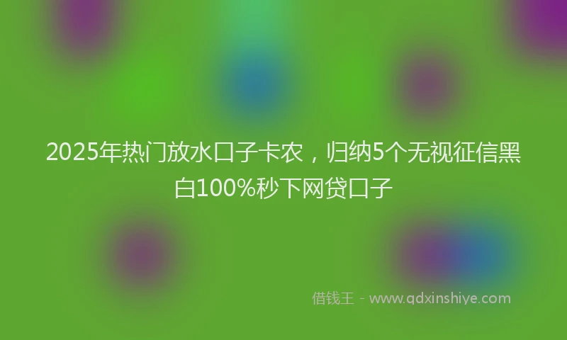 2025年热门放水口子卡农，归纳5个无视征信黑白100%秒下网贷口子