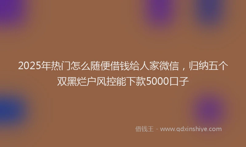 2025年热门怎么随便借钱给人家微信，归纳五个双黑烂户风控能下款5000口子