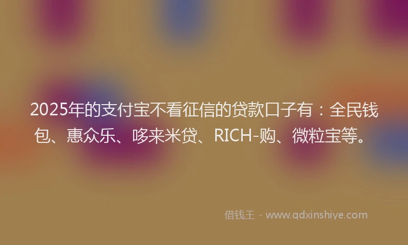 2025年的支付宝不看征信的贷款口子有：全民钱包、惠众乐、哆来米贷、RICH-购、微粒宝等。