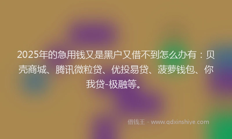2025年的急用钱又是黑户又借不到怎么办有：贝壳商城、腾讯微粒贷、优投易贷、菠萝钱包、你我贷-极融等。