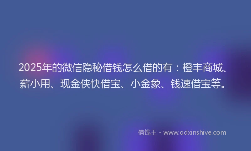 2025年的微信隐秘借钱怎么借的有：橙丰商城、薪小用、现金侠快借宝、小金象、钱速借宝等。