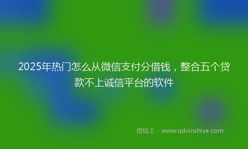 2025年热门怎么从微信支付分借钱，整合五个贷款不上诚信平台的软件