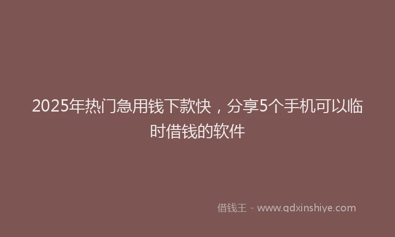 2025年热门急用钱下款快，分享5个手机可以临时借钱的软件