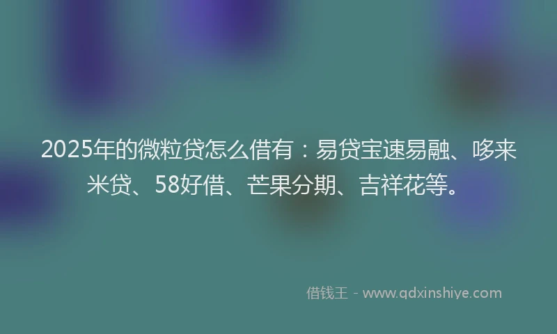 2025年的微粒贷怎么借有：易贷宝速易融、哆来米贷、58好借、芒果分期、吉祥花等。