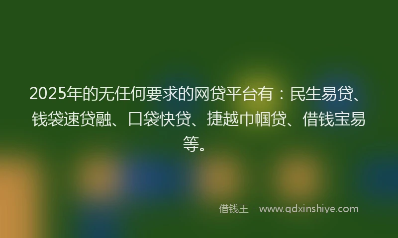 2025年的无任何要求的网贷平台有：民生易贷、钱袋速贷融、口袋快贷、捷越巾帼贷、借钱宝易等。