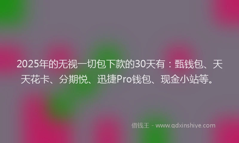 2025年的无视一切包下款的30天有：甄钱包、天天花卡、分期悦、迅捷Pro钱包、现金小站等。