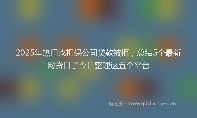 2025年热门找担保公司贷款被拒，总结5个最新网贷口子今日整理这五个平台