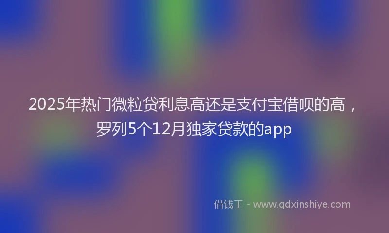 2025年热门微粒贷利息高还是支付宝借呗的高，罗列5个12月独家贷款的app