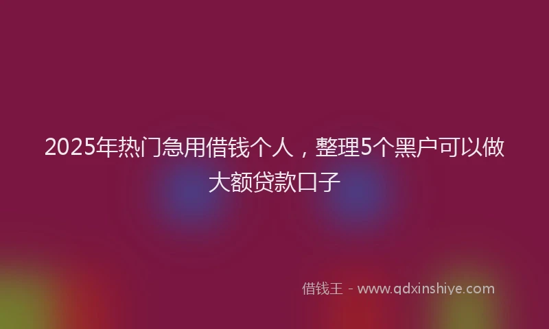 2025年热门急用借钱个人，整理5个黑户可以做大额贷款口子
