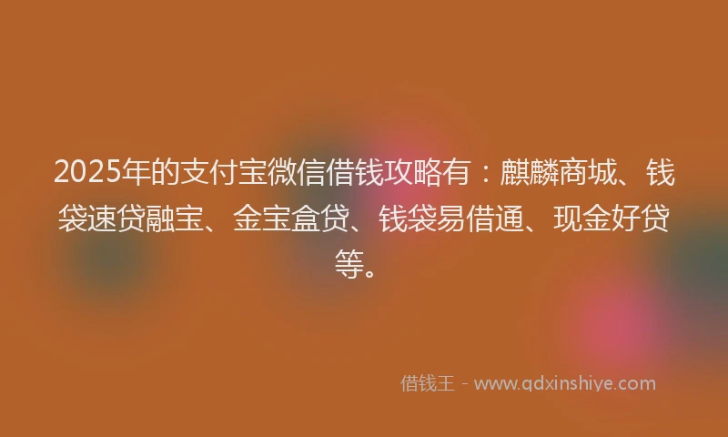 2025年的支付宝微信借钱攻略有：麒麟商城、钱袋速贷融宝、金宝盒贷、钱袋易借通、现金好贷等。