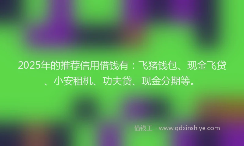 2025年的推荐信用借钱有：飞猪钱包、现金飞贷、小安租机、功夫贷、现金分期等。