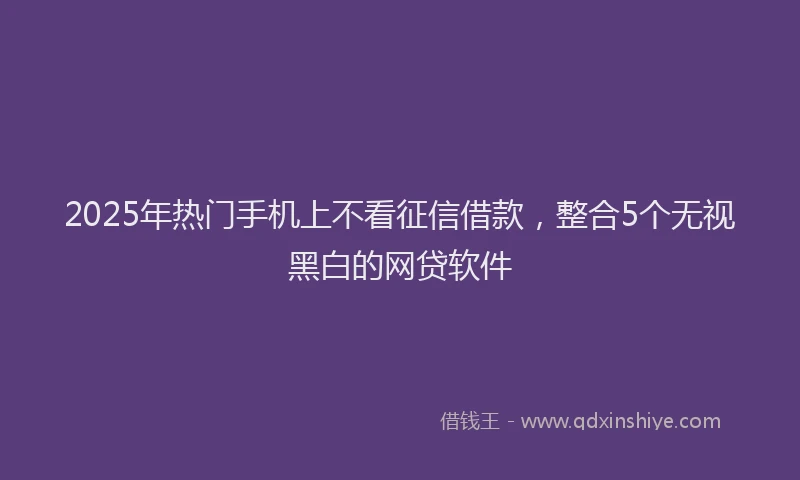 2025年热门手机上不看征信借款，整合5个无视黑白的网贷软件