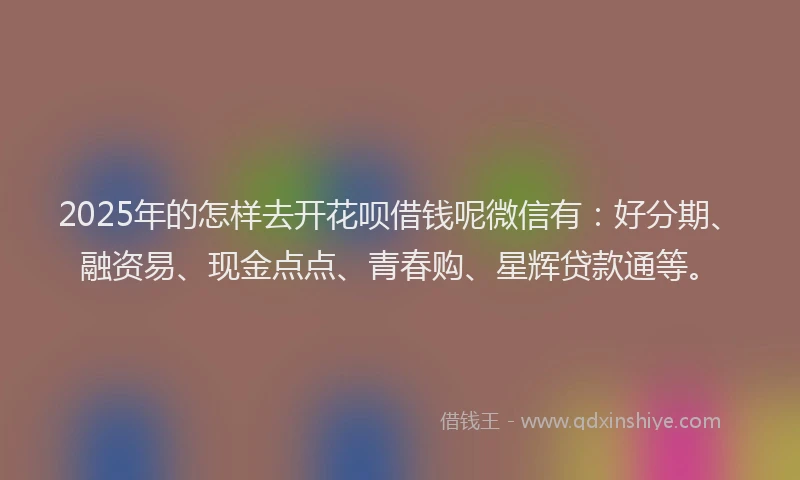 2025年的怎样去开花呗借钱呢微信有：好分期、融资易、现金点点、青春购、星辉贷款通等。