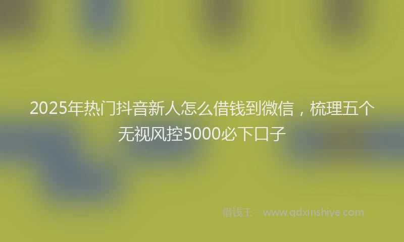 2025年热门抖音新人怎么借钱到微信，梳理五个无视风控5000必下口子