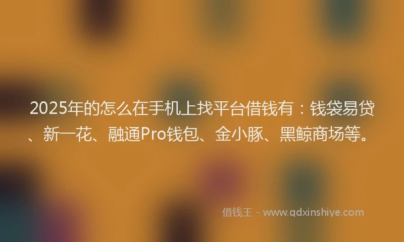 2025年的怎么在手机上找平台借钱有：钱袋易贷、新一花、融通Pro钱包、金小豚、黑鲸商场等。