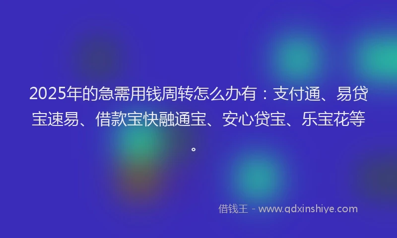 2025年的急需用钱周转怎么办有：支付通、易贷宝速易、借款宝快融通宝、安心贷宝、乐宝花等。