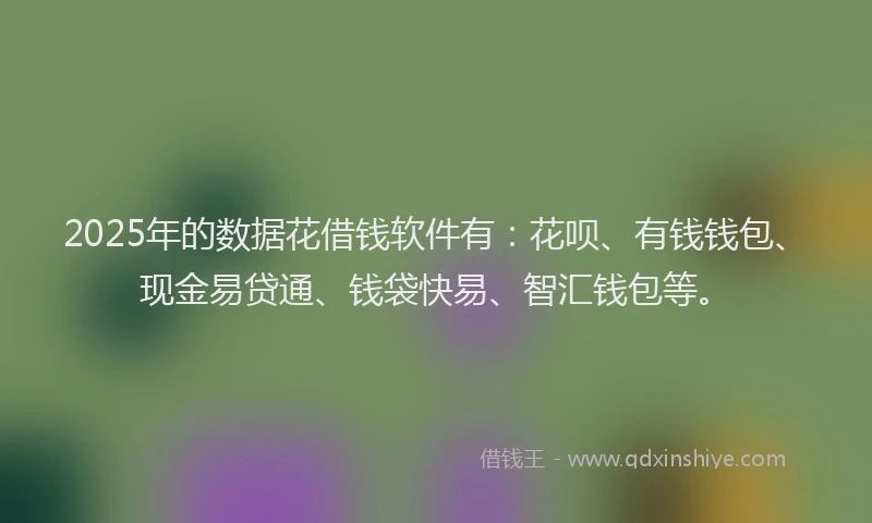 2025年的数据花借钱软件有：花呗、有钱钱包、现金易贷通、钱袋快易、智汇钱包等。
