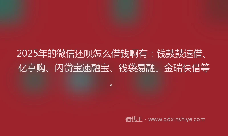 2025年的微信还呗怎么借钱啊有：钱鼓鼓速借、亿享购、闪贷宝速融宝、钱袋易融、金瑞快借等。