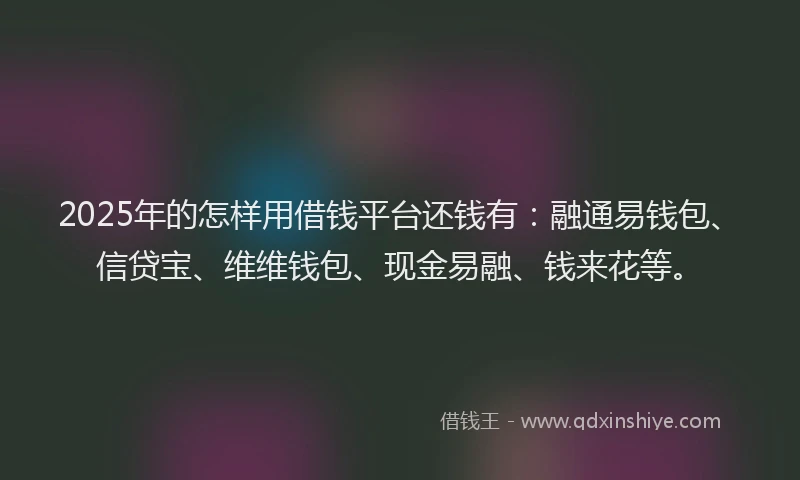 2025年的怎样用借钱平台还钱有：融通易钱包、信贷宝、维维钱包、现金易融、钱来花等。
