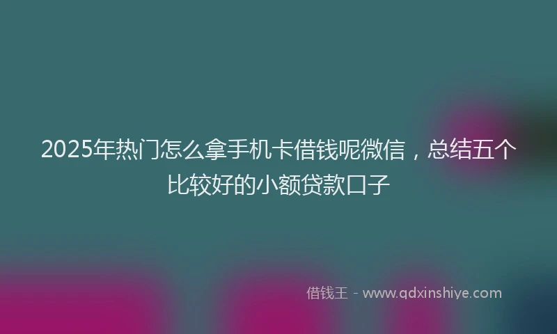 2025年热门怎么拿手机卡借钱呢微信，总结五个比较好的小额贷款口子