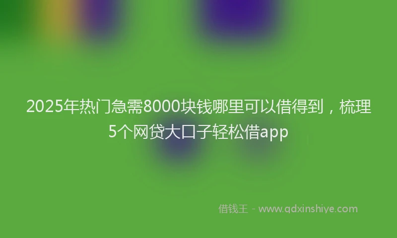 2025年热门急需8000块钱哪里可以借得到，梳理5个网贷大口子轻松借app
