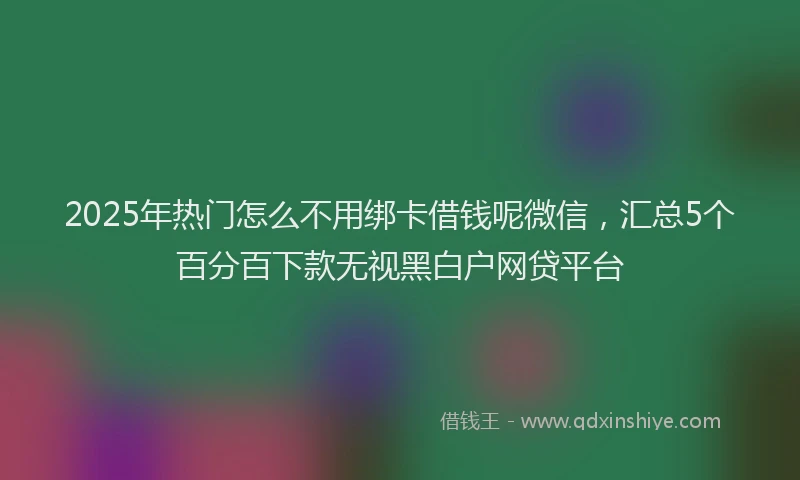 2025年热门怎么不用绑卡借钱呢微信，汇总5个百分百下款无视黑白户网贷平台