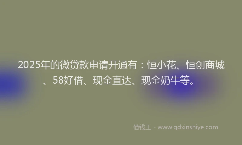 2025年的微贷款申请开通有：恒小花、恒创商城、58好借、现金直达、现金奶牛等。