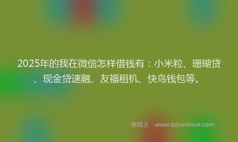 2025年的我在微信怎样借钱有：小米粒、珊瑚贷、现金贷速融、友福租机、快鸟钱包等。