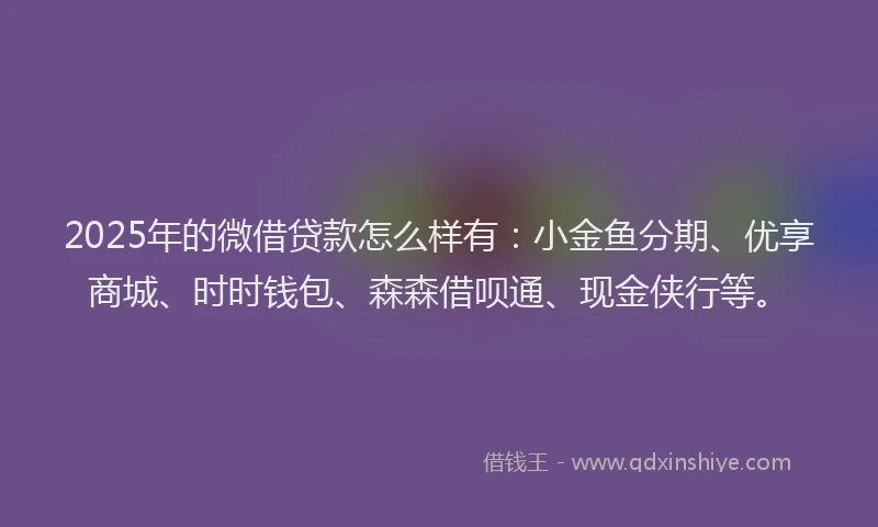 2025年的微借贷款怎么样有：小金鱼分期、优享商城、时时钱包、森森借呗通、现金侠行等。