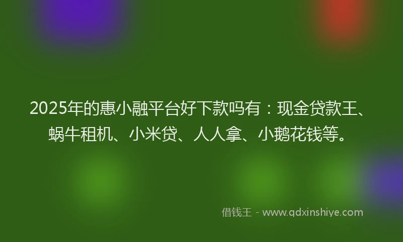 2025年的惠小融平台好下款吗有：现金贷款王、蜗牛租机、小米贷、人人拿、小鹅花钱等。