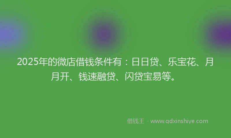 2025年的微店借钱条件有：日日贷、乐宝花、月月开、钱速融贷、闪贷宝易等。