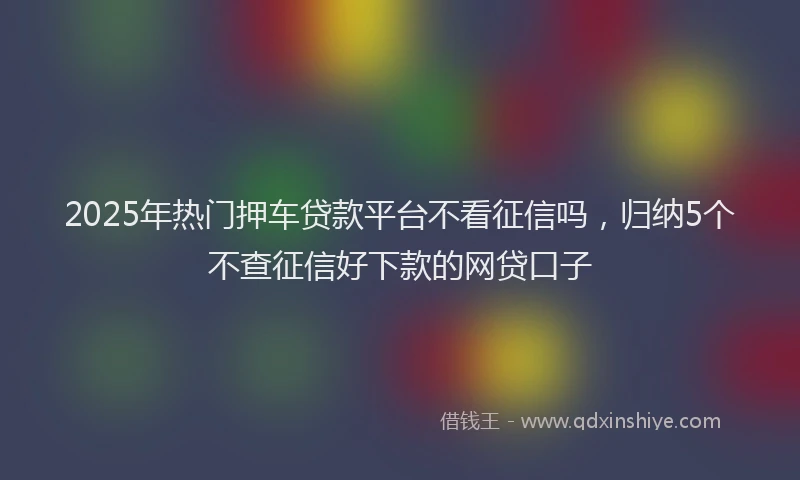 2025年热门押车贷款平台不看征信吗，归纳5个不查征信好下款的网贷口子