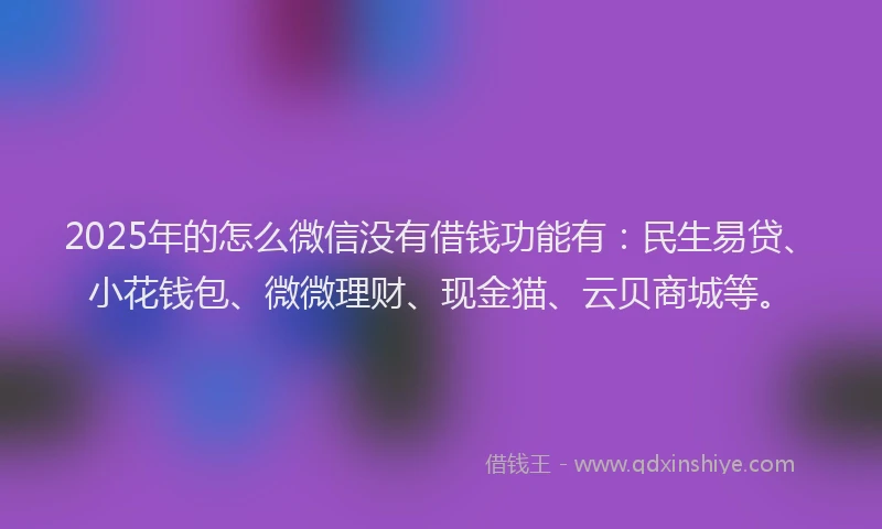2025年的怎么微信没有借钱功能有：民生易贷、小花钱包、微微理财、现金猫、云贝商城等。